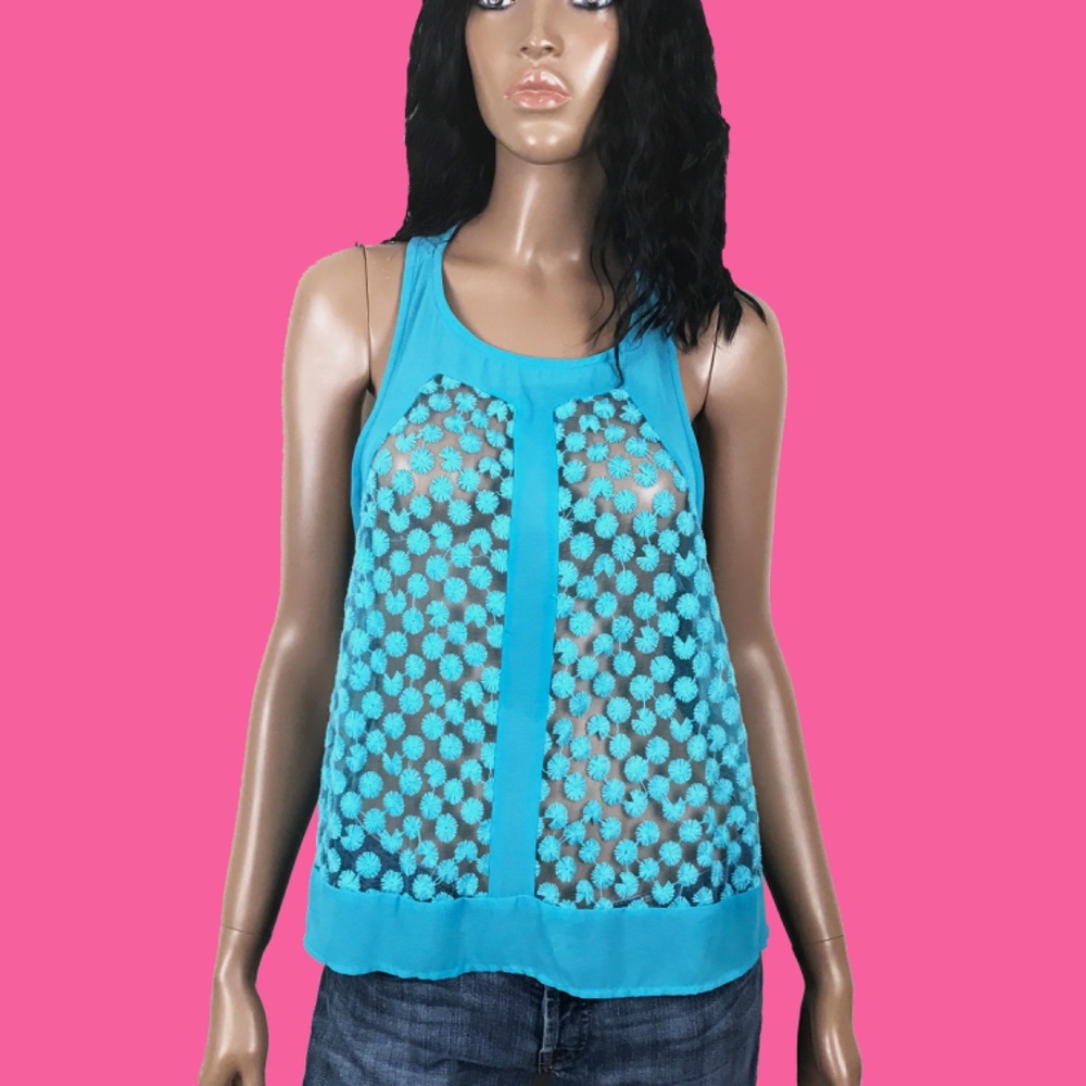 Aniina Blue Sheer Top